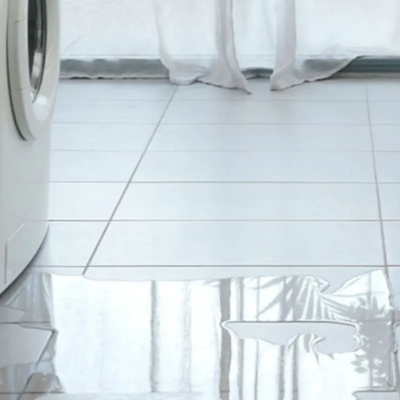 Appliance Leak Cleanup in Sharpes, FL