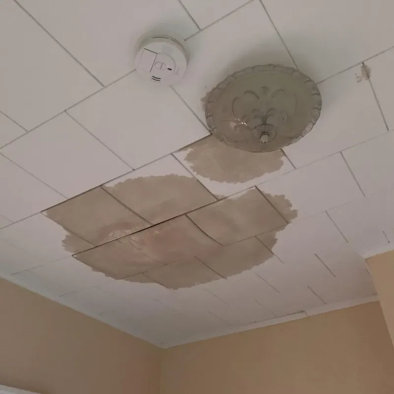 Ceiling Water Damage Repair in Sharpes, FL