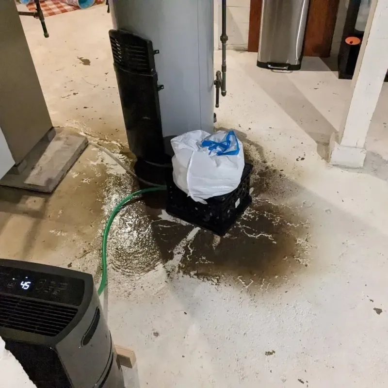 Sewage Backup Cleanup Service in Sharpes, FL